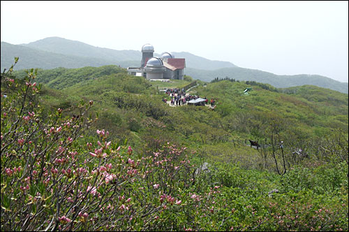 연화봉의 꽃망울만 또렷한 철쭉 너머로 소백산 국립천문대가 보인다. 